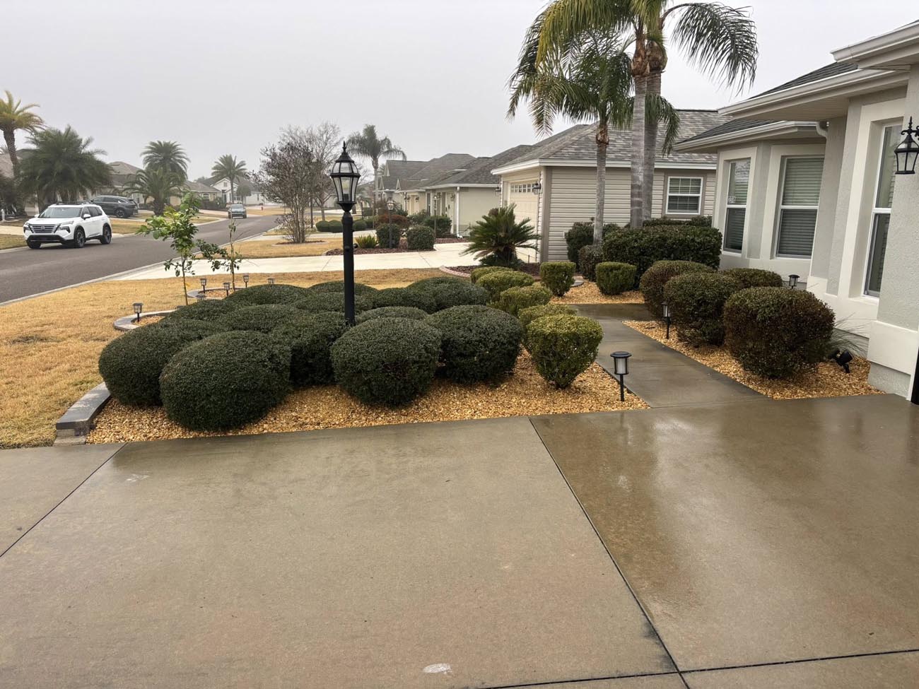 Irrigation & Drainage services in Summerfield, FL